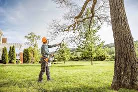 Best Tree Trimming and Pruning  in Evergreen Park, IL